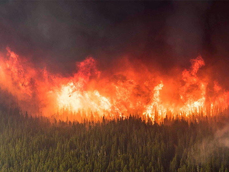 Kelowna forest fire